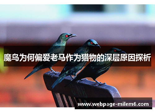 魔鸟为何偏爱老马作为猎物的深层原因探析