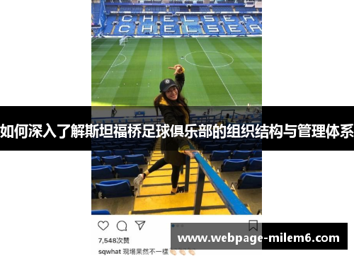 如何深入了解斯坦福桥足球俱乐部的组织结构与管理体系